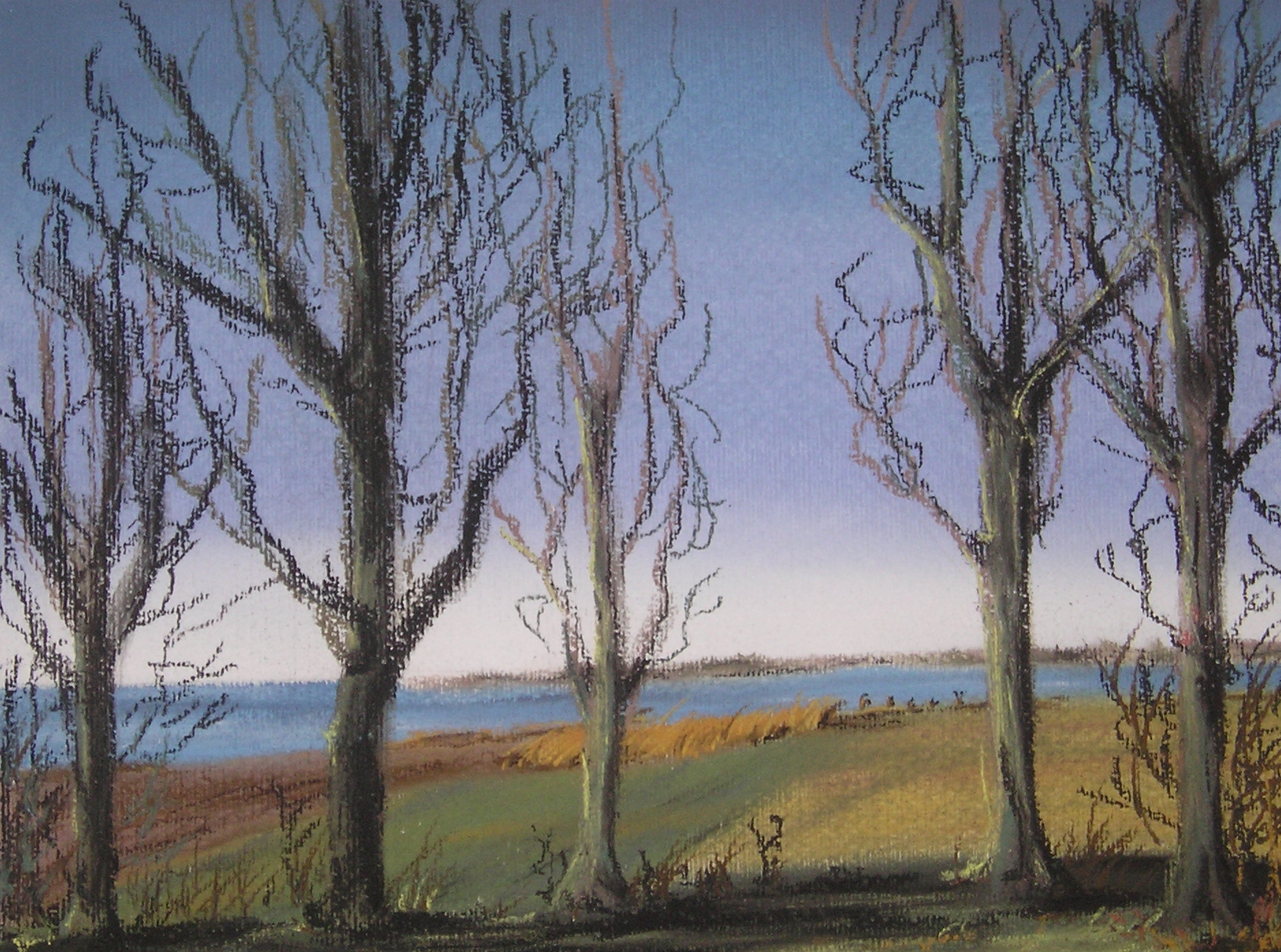 Baumgruppe vor der Bucht