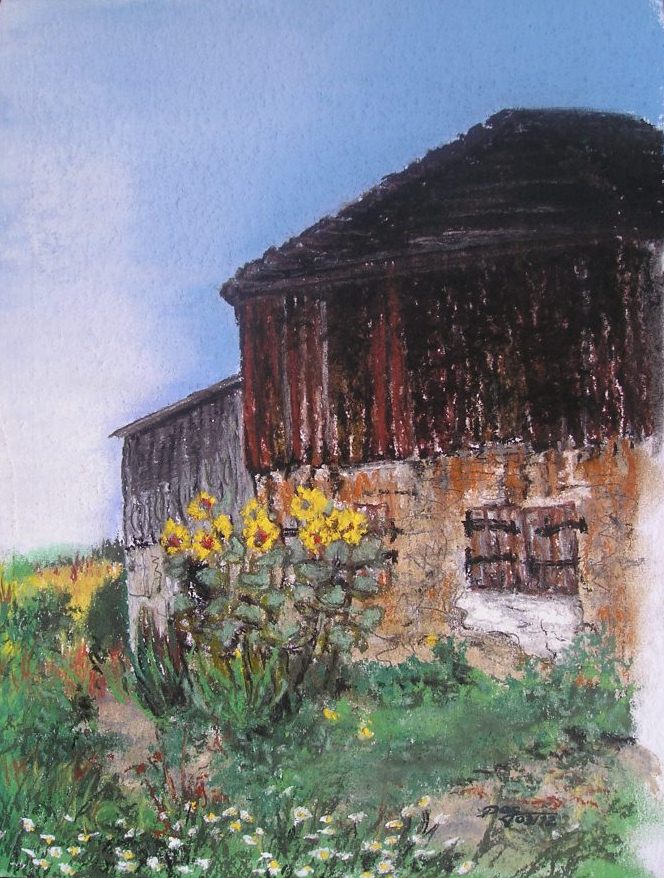 Schuppen