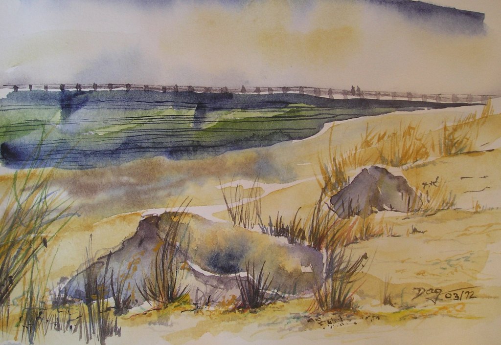 Steine am Meer