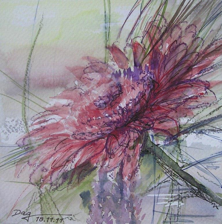 Aster