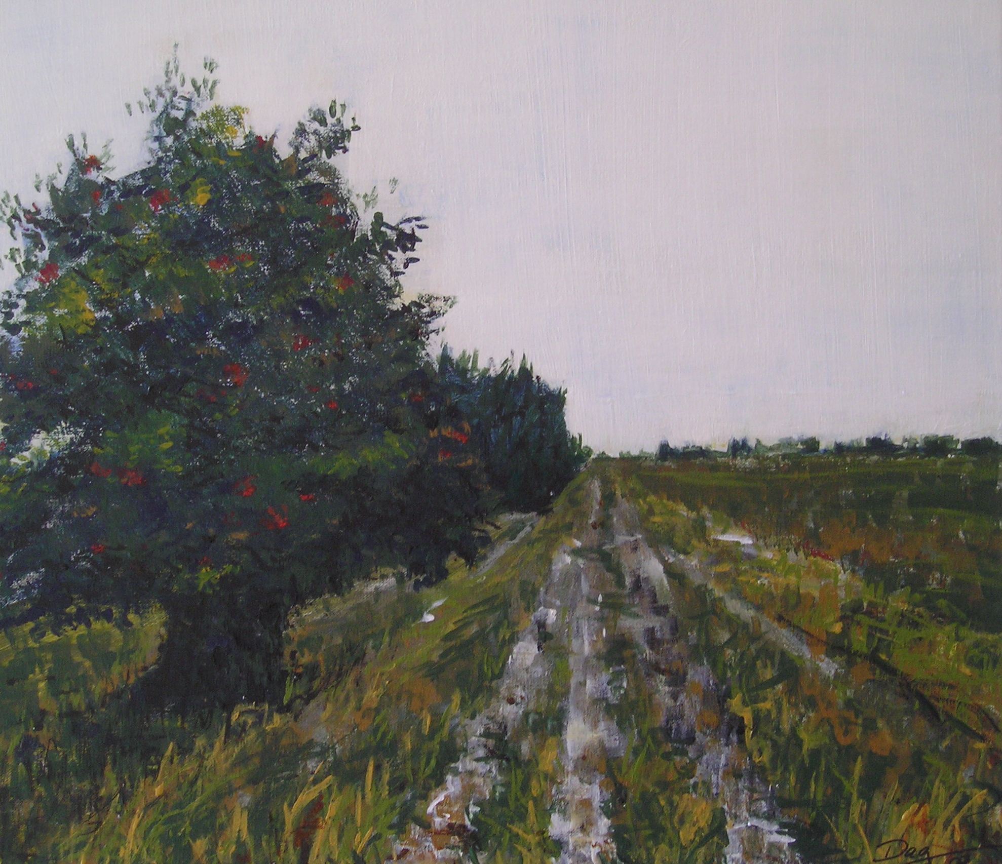 Weg in der Sundischen Wiese