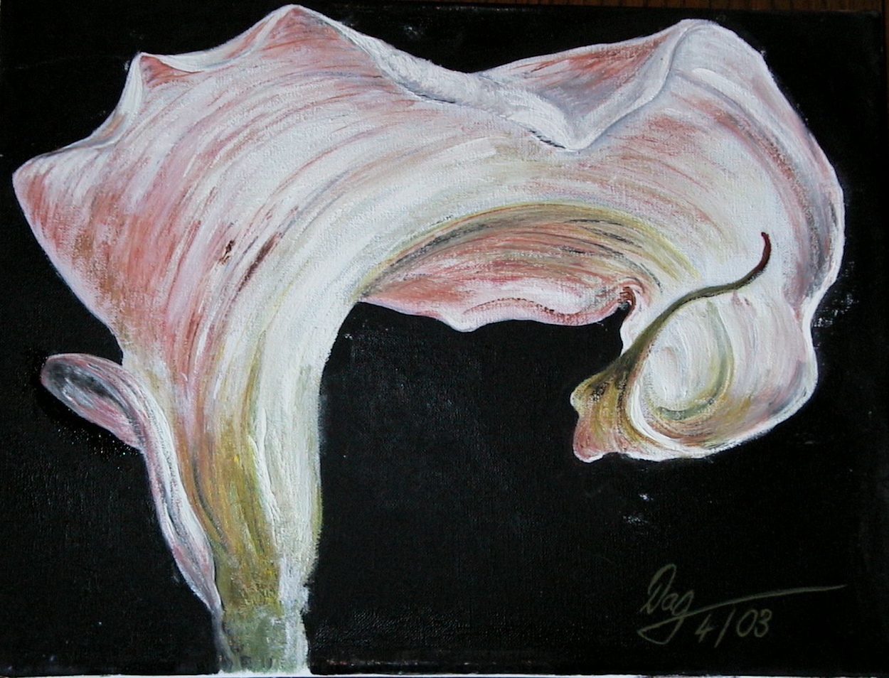Calla