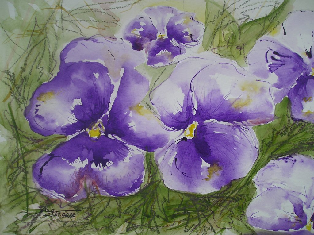 Lila Stiefmütterchen