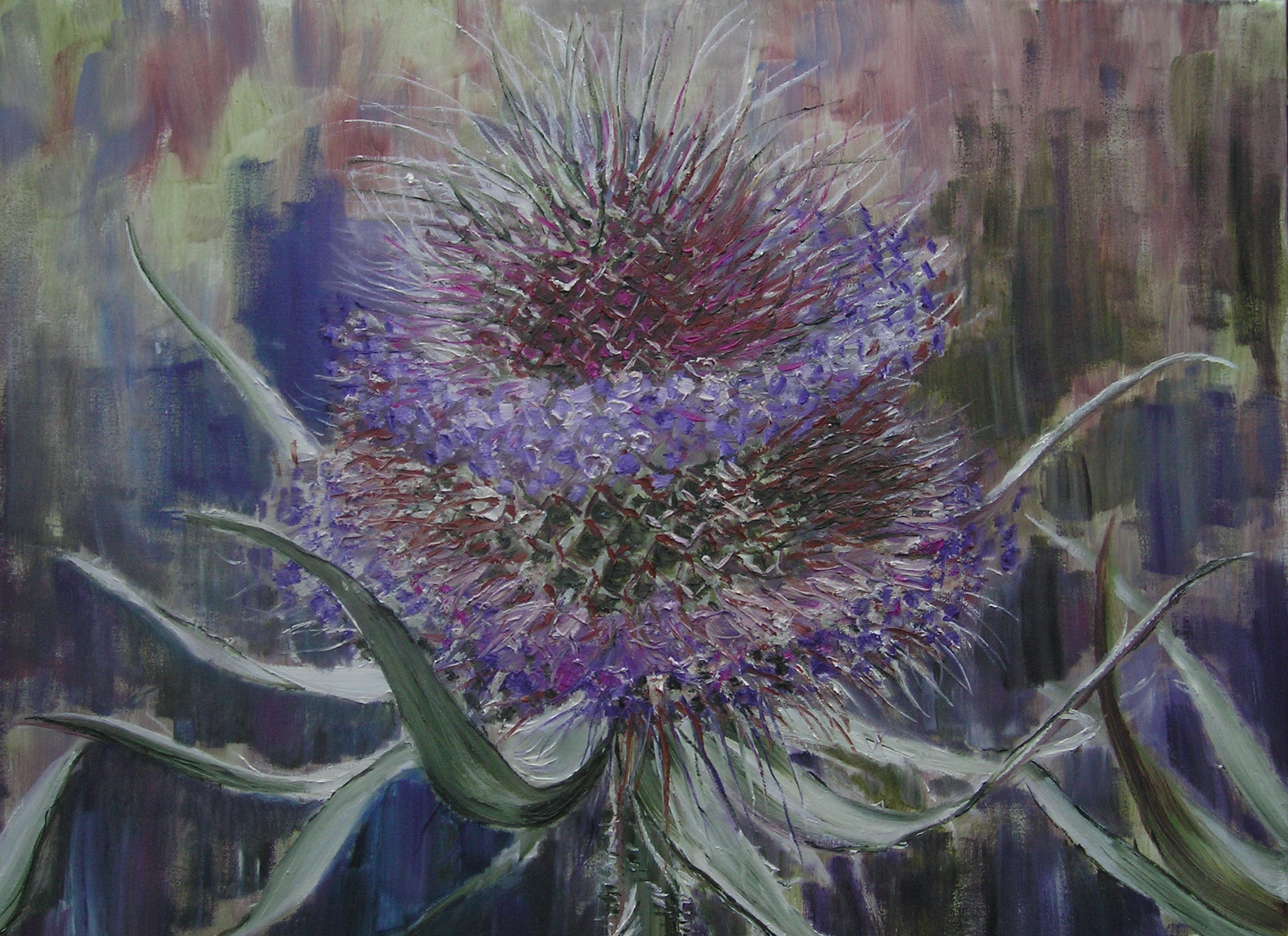 Distel