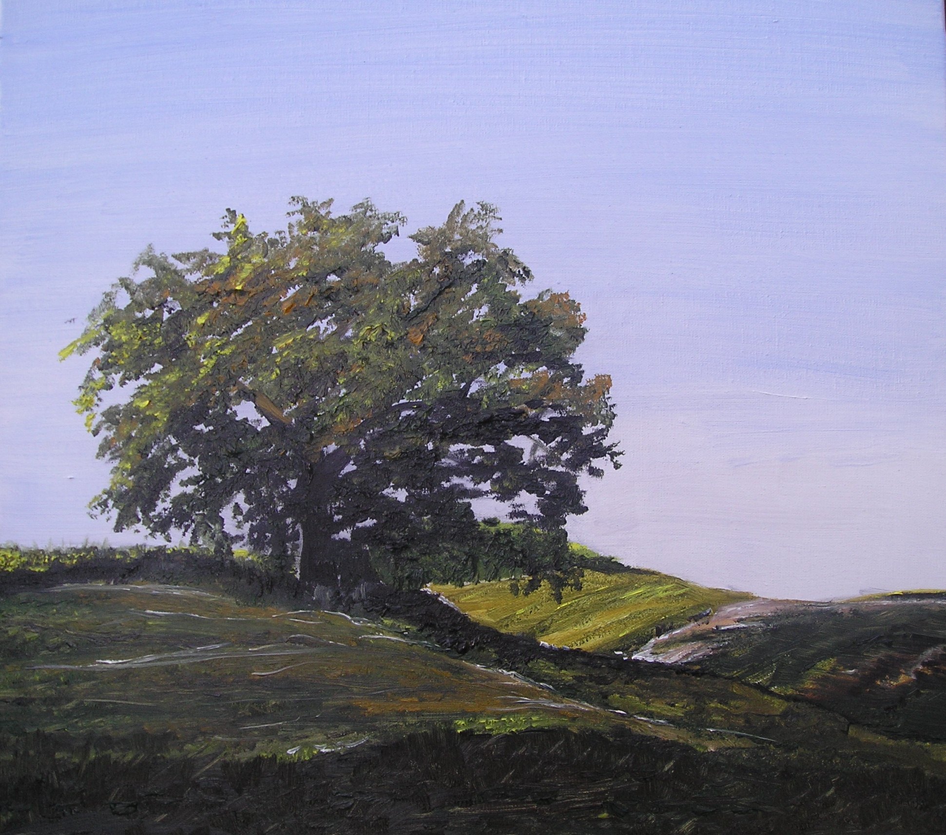 Eiche am Landweg