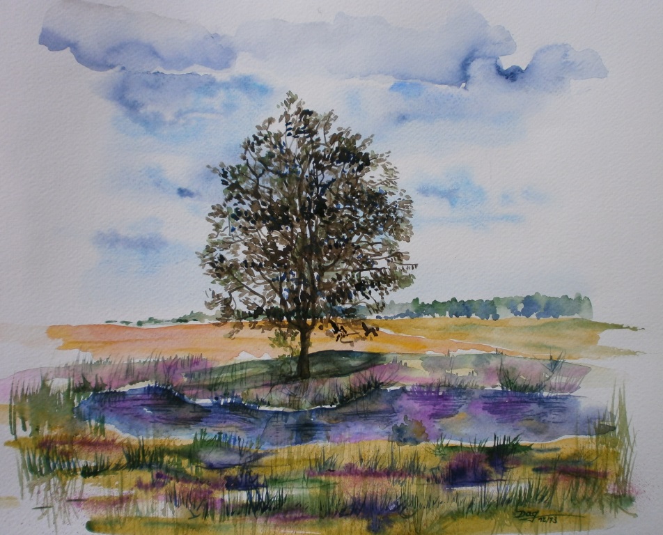 Landschaft MV