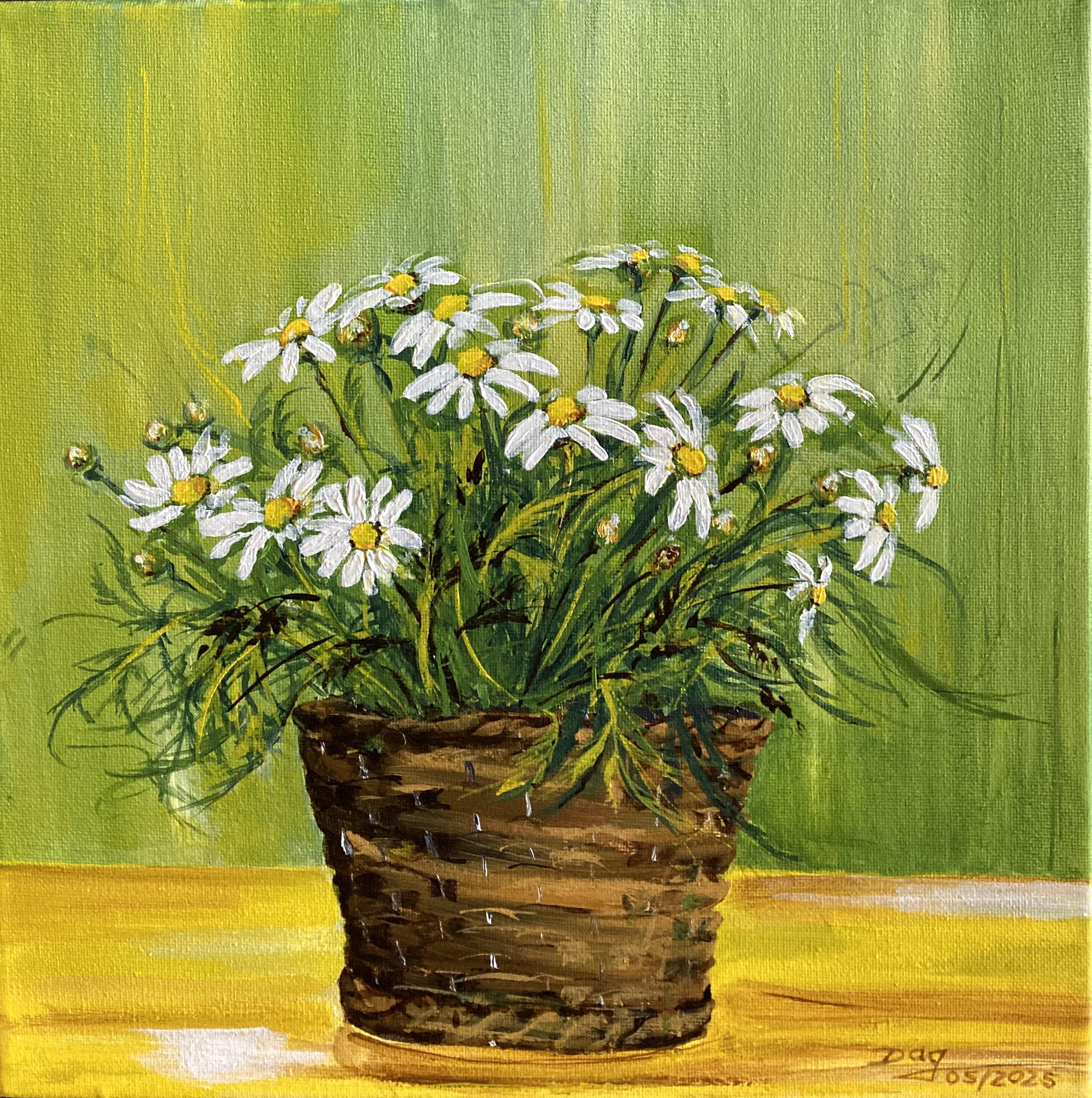 Margeriten