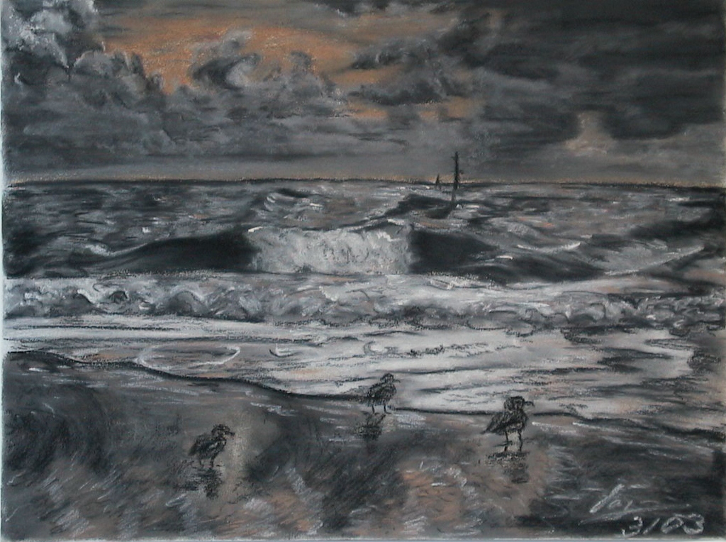 Drei Möwen am Meer