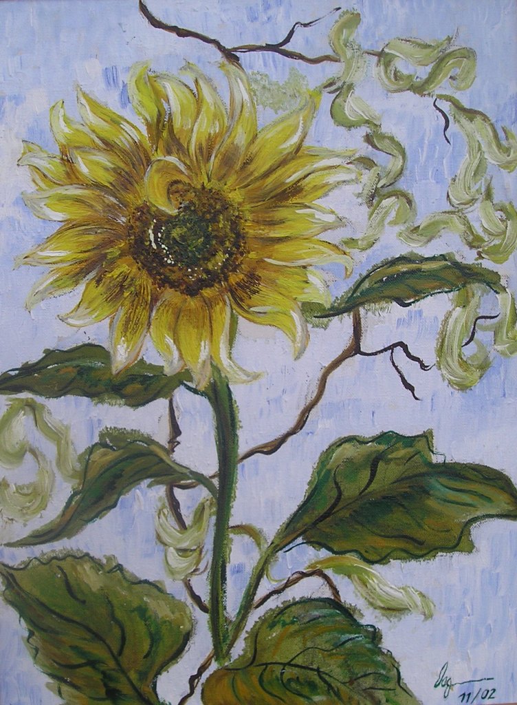 Sonnenblume