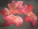 Herbstblätter