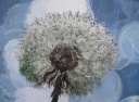 Pusteblume