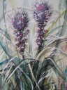 Blühendes Gras