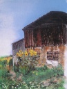 Schuppen