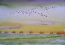 Vogelflug