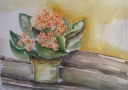 Blumentopf