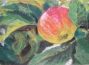 Apfel