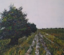 Weg in der Sundischen Wiese