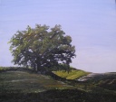 Eiche am Landweg