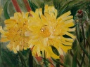Butterblumen