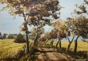 Landweg im Herbst