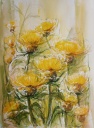 Gelbe Distel
