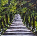 Allee