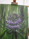 Distel R