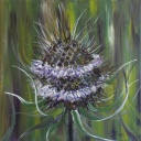 Distel in grün