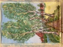 TN-Bild 3