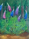 Lupinenstaude