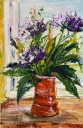 Wiesenklee am Fenster